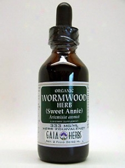 Gaia Herb's Wormwood Herb (sweet Annie) 2oz