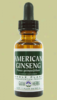 Gaia's American Ginseng Fresh 1oz