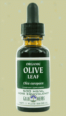 Gaia's Oliv Leaf 1oz