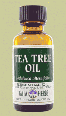 Gaia's Tea Tree Oil 1oz