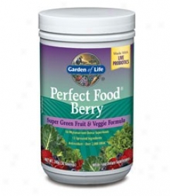 Garden Of Life's Perfect Feed Berry 240gm