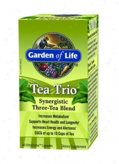 Garden Of Life's Tea Trio 60caps