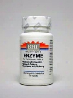 Heel's Enzyme 100 Tabs