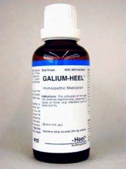 Heel's Galium-heel 50 Ml