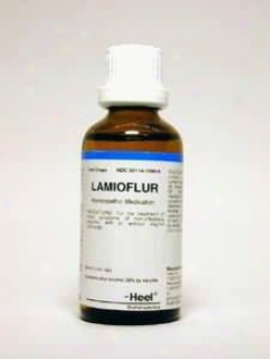 Heel's Lamioflur 50 Ml