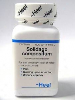 Heel's Solidago Compositum 300 Mg 100 Tabs