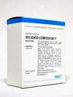 Heel's Solidago Compositum P 2.2 Ml