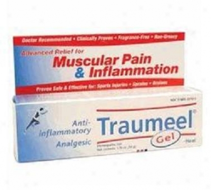 Heel's Traumeel 50 Gm 12 Pack