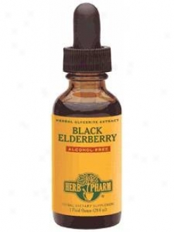 Herb Pharm's Black Elderberry/sambucus Nigra Glycerite 1 Oz