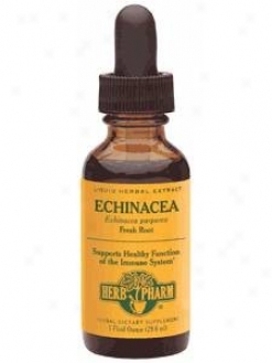 Herb Pharm's Echinacea/echinacea Purpurea 1 Oz