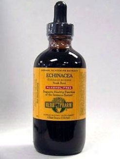 Herb Pharm's Echinacea/echinacea Purpurea Glycertie 4 Oz