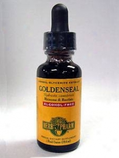 Herb Pharm's Goldenseal/hydrastis Canadensis A-f Glycerite 1 Oz