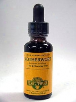 Herb Pharm's Motherwort/leonurus Cardiaca 1 Oz