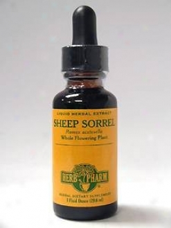 Herb Pharm's Sheep Sorrel/rumex Acetosella 1 Oz