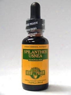 Herb Pharm's Spilanthes/usnea Compound 1 Oz