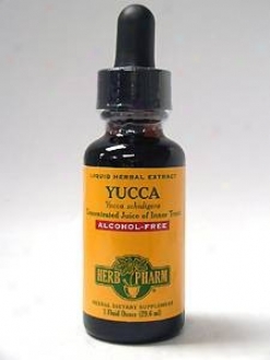 Herb Pharm's Yucca/yucca Schidigera Glyverite 1 Oz