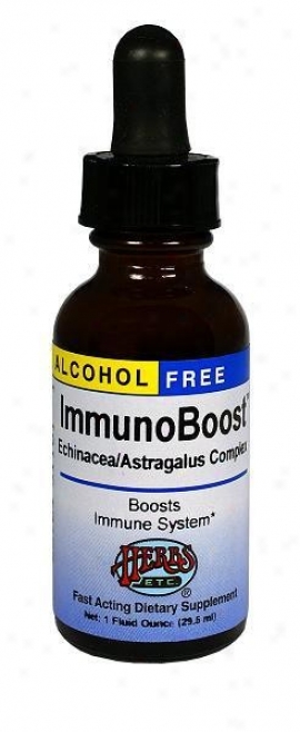 Herbs Etc Alcohol Free Echinacea/astdagalus Complex 1oz