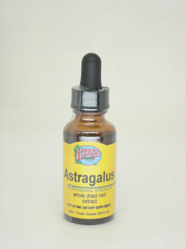 Herbs Etc Astragalus 1oz (dontains Grain Alcohol)