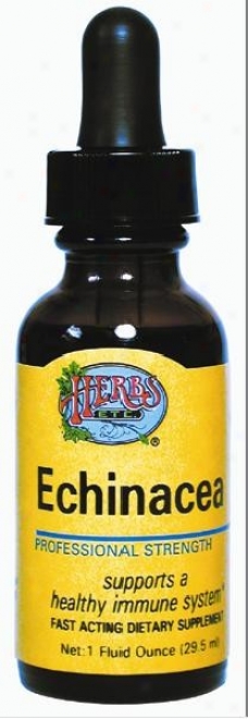 Herbs Etc Echinacea Angustifolia 1oz (ckntains Grain Alcohol)