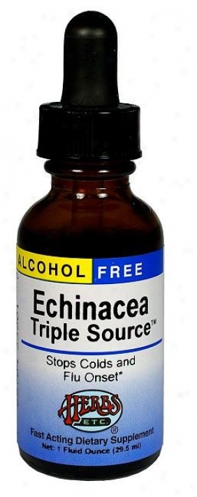 Herbs Etc Echinacea Triple Source 1oz Alcohol Free