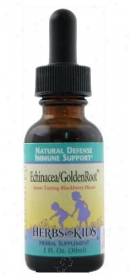 Herbs For Kids Echinacea Goldenroot Blackberry Liquid 1 Fl Oz