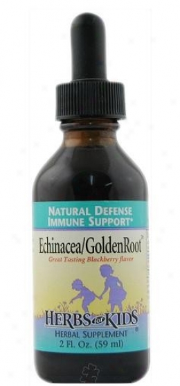 Herbs For Kids Echinacea/goldenroot Blackberry Liquid 2oz