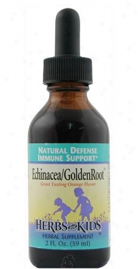 Herbs For Kids Echinacea/goldenroot Orange Liquid 2 Fl Oz