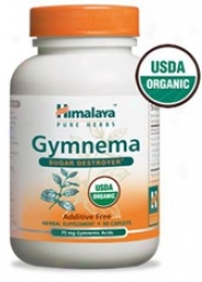 Himalaya Herbal's Gymnema - Pure Extract 250mg 60caps