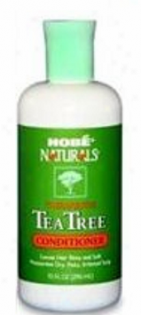 Hobe Labs Conditioner Naturals Infusion  Tree 10oz