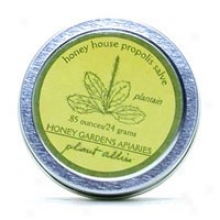 Honey Gardens Apiariss Apitherapy Hlney House Healing Salve 0.85 Oz