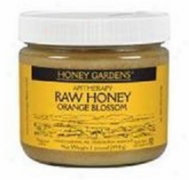 Honey Gardens Apiaries Apitherapy Honey Orange Blossom 1lb