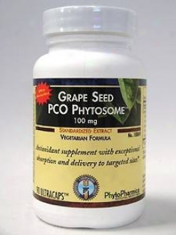 Integrative Therapeutic's Grape Seed Pco Phytosome 100 Mg 90 Caps