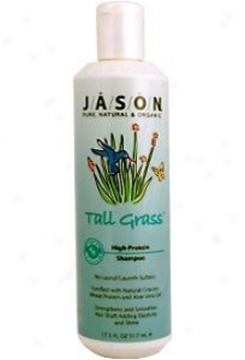 Jason's Conditioner Tall Grass 8oz D20
