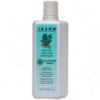 Jason's Natural Sea Barilla Shampoo 16oz