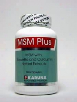Karuna Corporation's Msm Plus 120 Caps