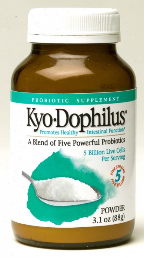 Kyolic's Kyo-dophilus Powder 3.1oz