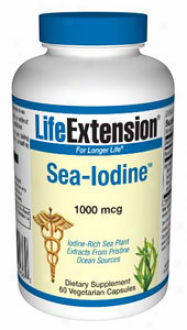 Life Extension's Sea-iodine 100Omcg 60vvcaps