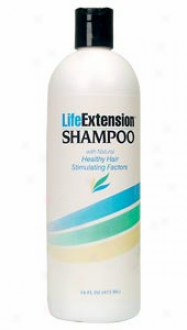 Life Extension's Shampoo 16 Fl Oz