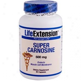 Life Exfenslon's Super Carnosine 500mg 90caps