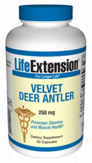 Life Extension's Soft Deer Antler 250mg 30caps