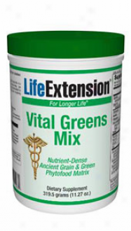 Life Extension's Vital Greens Mix 11.27oz