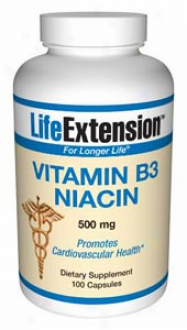 Life Extension's Vitamin B-3 Niacin 5000mg 100caps