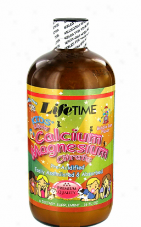 Lifetime's Kids' Liquid Calcium Magnesium Citfate Bubble Gum 16 Fl Oz