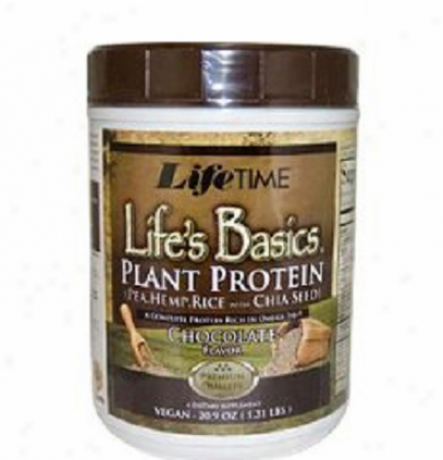 Lifetime's Life's Basics Plant Protein Chocolate 1.31lb