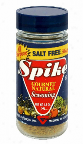 Modern's Spike Salt Free 1.9oz