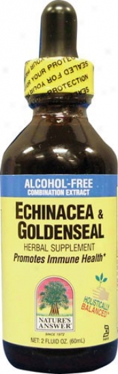 Nature's Answer's Echinacea & Goldenseal Alcohol-free 2 Fl Oz