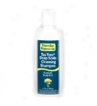 Nature's Plus T.p. Tea Tree Deep Scalp Clean Shampoo 200ml