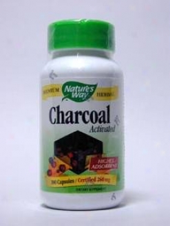 Nature's Custom - Activated Charccoal 260 Mg 100 Caps