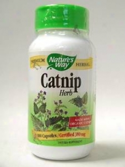 Natur'es Way - Catnip 380 Mg 100 Caps