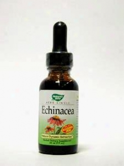 Nature's Course - Echinacea Glycerite 1 Oz